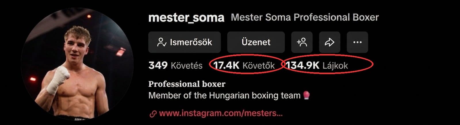 Mester Soma közösségimédia-profilja az SMGL előtt